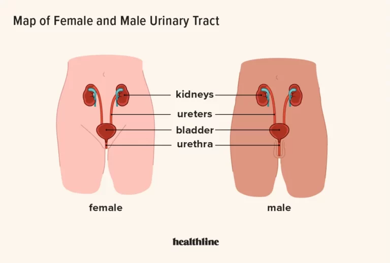 Azo Urinary Pain Relief: The Solution to Your Urinary Discomfort